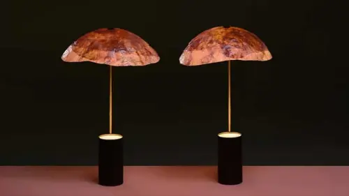 Tudung Lampu Ramah Lingkungan Ini Terbuat dari Kol