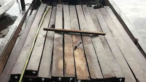 148 Batang Kayu Ulin Antarkan AR Berumah di Penjara