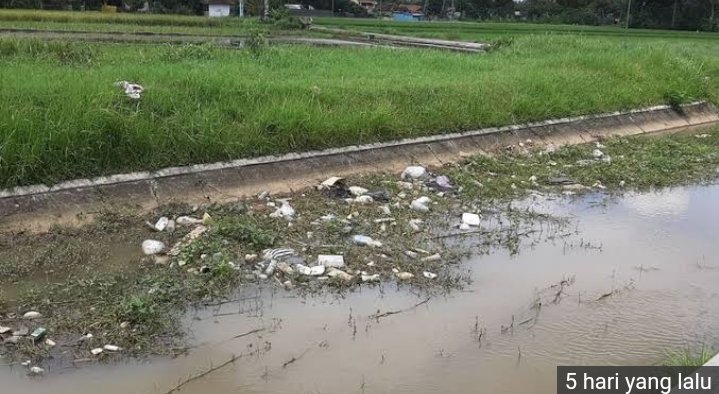 Sayembara Berhadiah Uang Digelar Demi Menangkap Pembuang Sampah di Selokan Mataram