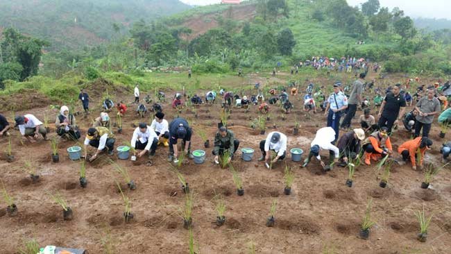 RHL, Langkah Pemulihan Lingkungan dan Pencegahan Bencana