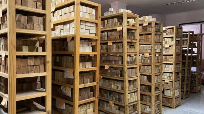 Kenalkan Xylarium Bogoriense, Perpustakaan yang Hanya Berisi Kayu!