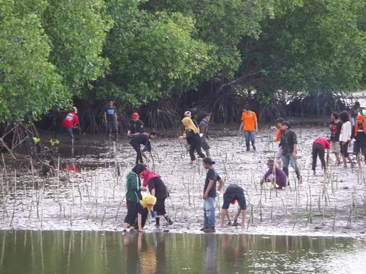 Dinamika Mangrove di Indonesia dan Masa Depan Ekowisata di Baliknya