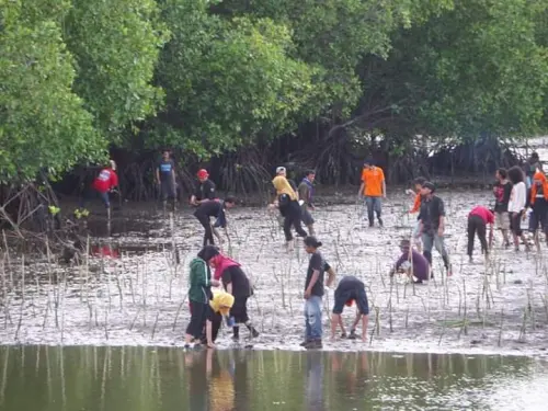 Dinamika Mangrove di Indonesia dan Masa Depan Ekowisata di Baliknya