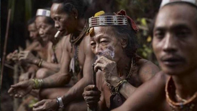Pentingnya Melibatkan Masyarakat Adat Dayak dalam Perlindungan LHK