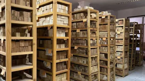 Kenalkan Xylarium Bogoriense, Perpustakaan yang Hanya Berisi Kayu!