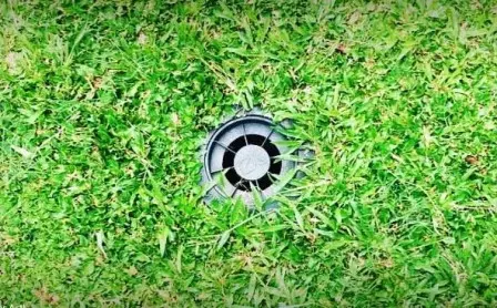 Mengenal Biopori, Cara Sederhana Atasi Banjir di Halaman Rumah
