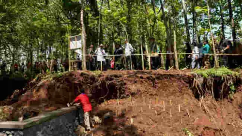Pohon dan Vetiver, Harapan Baru  Atasi Masalah Dam Gajah Mungkur