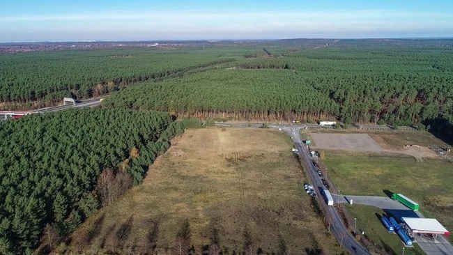 Pegiat Lingkungan Hentikan Proyek Gigapabrik Tesla di Jerman