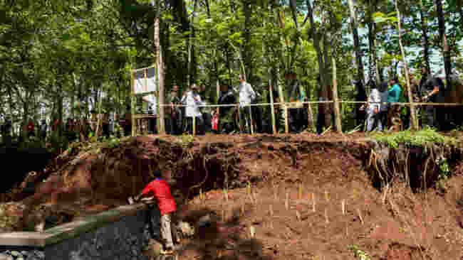 Pohon dan Vetiver, Harapan Baru  Atasi Masalah Dam Gajah Mungkur