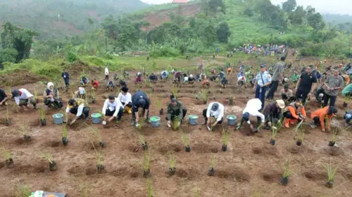 RHL, Langkah Pemulihan Lingkungan dan Pencegahan Bencana
