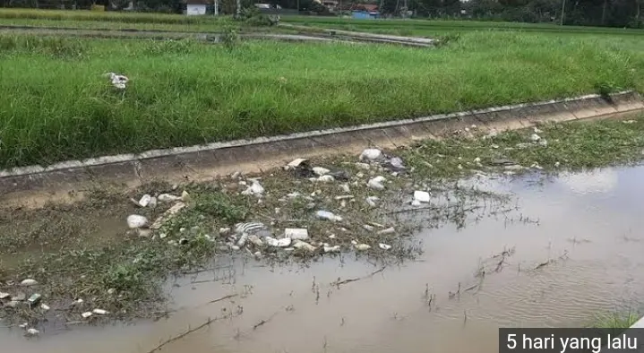 Sayembara Berhadiah Uang Digelar Demi Menangkap Pembuang Sampah di Selokan Mataram