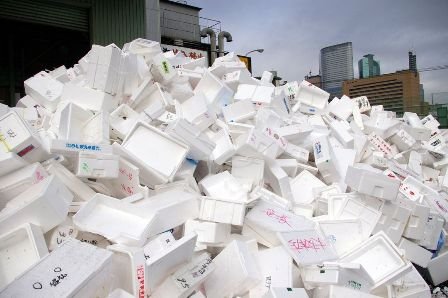 Bahaya Laten Penggunaan Styrofoam bagi Kesehatan dan Lingkungan?