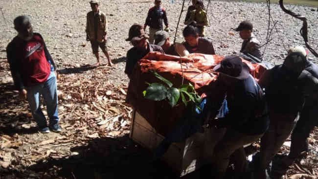 Taman Nasional Gunung Leuser Kini Jadi Rumah Dara