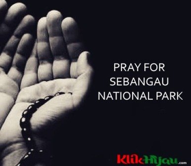 Duka Mendalam Atas Musibah TN Sebangau, Jajaran KLHK Kibarkan Bendera Setengah Tiang