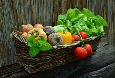 Konsumsi Sayur Organik, Rasakan 7 Manfaat Terbaiknya