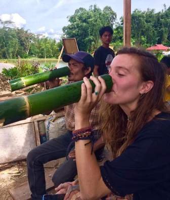 Otentik, 6 Tanaman Ini Berhubungan Erat dengan Budaya Toraja