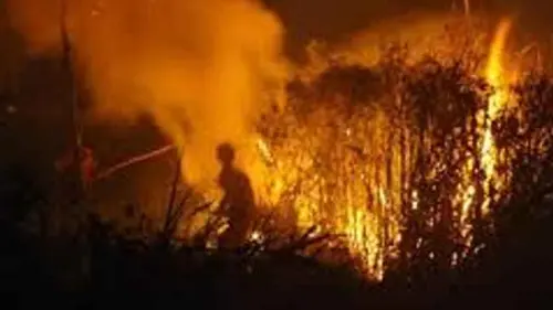 Berburu Solusi Permanen Karhutla di Tingkat Tapak Berbasis Desa
