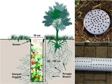 Temukan Cara Sederhana Memasukkan Sampah Organik ke Lubang Biopori!