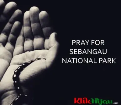 Duka Mendalam Atas Musibah TN Sebangau, Jajaran KLHK Kibarkan Bendera Setengah Tiang