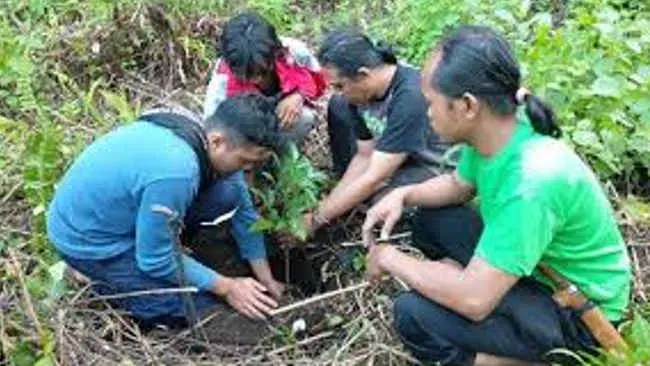 Jaga Sumber Air, Laskar Hijau Datangkan Pohon Langsung dari Kenya
