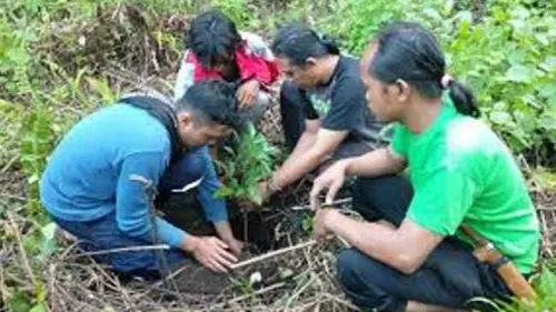 Jaga Sumber Air, Laskar Hijau Datangkan Pohon Langsung dari Kenya