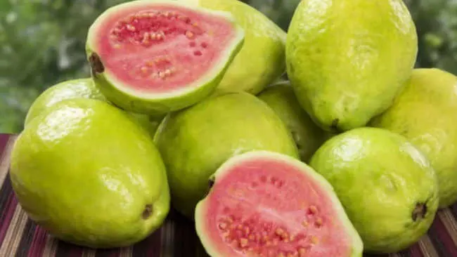 Jambu Biji Merah dan 4 Hal ini Dijagokan Tangkal Covid-19