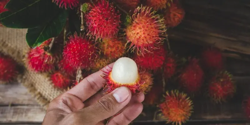 Jangan Dibuang, Kulit Rambutan Dapat Melengkapi Daun Sirih untuk “Hand Sanitizer” Alami