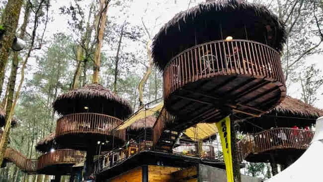 Jika Tak Mengusik Fungsi, Masyakarak Boleh ke Taman Nasional