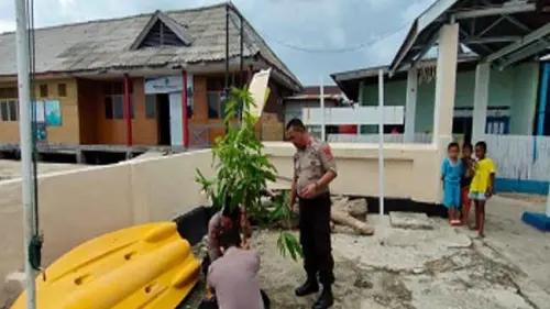 Mengapresiasi Obsesi Kapolsek Pulau Sembilan Hijaukan Pulau Kambuno