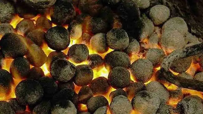 Perusahaan Ini Ubah Tinja Manusia Jadi Bahan Bakar Ramah Lingkungan