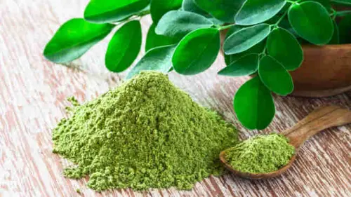 Superfood Kelor sebagai Sumber Kekuatan Imun Masyarakat Bugis-Makassar