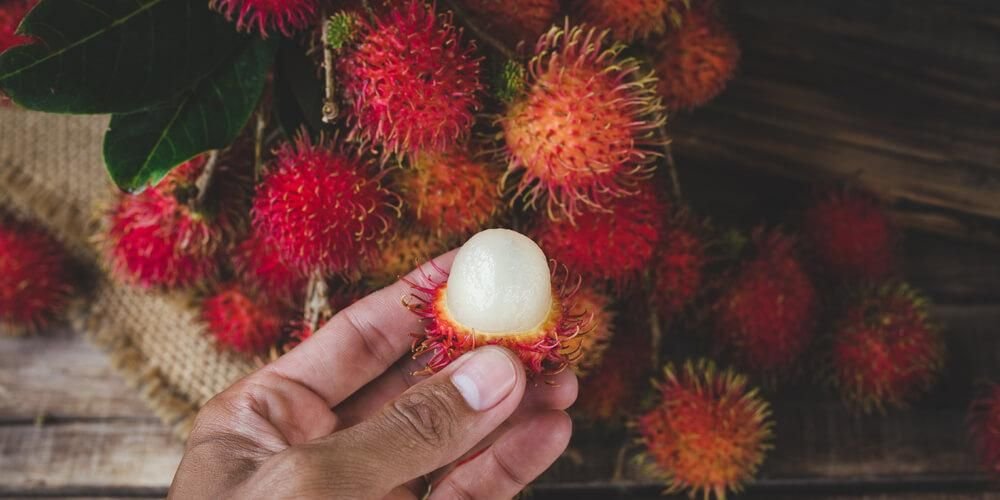 Jangan Dibuang, Kulit Rambutan Dapat Melengkapi Daun Sirih untuk “Hand Sanitizer” Alami
