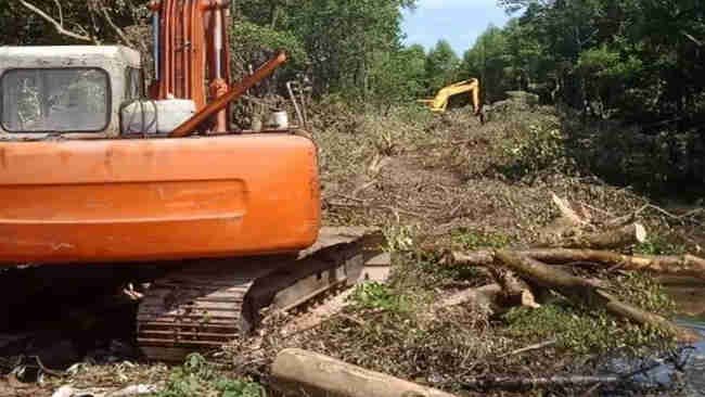 Pembalakan Liar Mangrove Lantebung, Kado Pahit Makassar di Hari Bumi