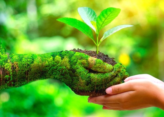8 Cara Melestarikan Bumi yang Bisa Dimulai dari Diri Sendiri