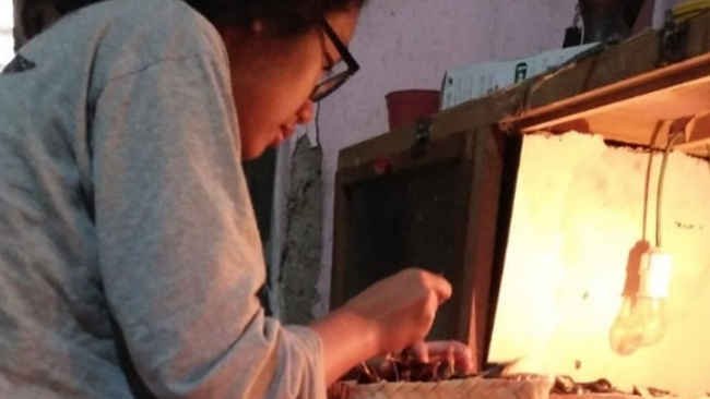 Kisah Kesuksesan Kaum Ibu Merawat Burung di Klaten