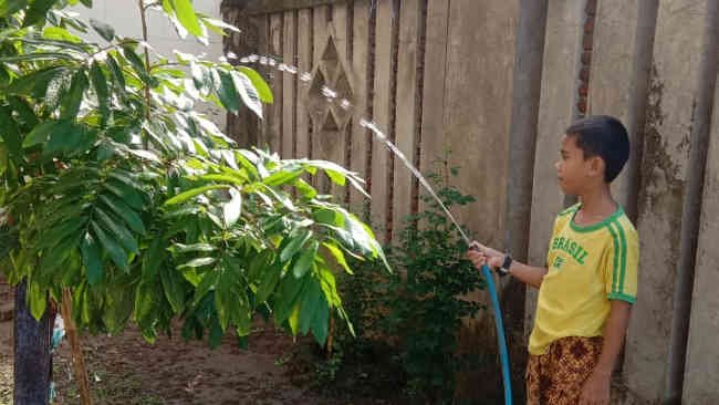 Dari Rumah, Murid SDN Borong Tetap Gelorakan Semangat Adiwiyata