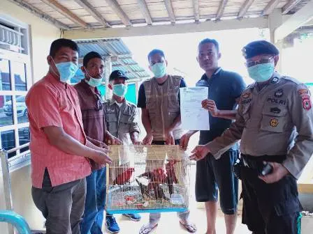 BBKSDA Sulsel Amankan Satwa Liar Endemik di Pasar Burung