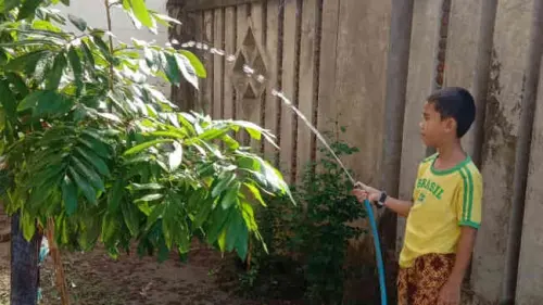 Dari Rumah, Murid SDN Borong Tetap Gelorakan Semangat Adiwiyata