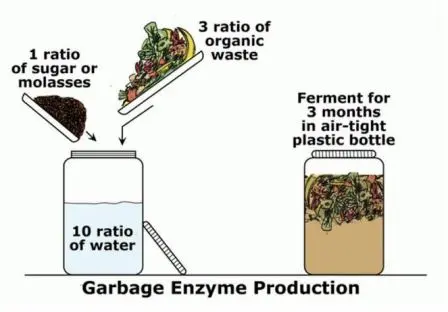 Dua Masalah Klasik Saat Membuat Eco Enzyme, Penyebab dan Solusinya