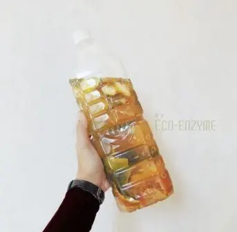 Eco Enzyme, Cairan Ajaib Hasil Fermentasi Sampah Organik yang Multiguna