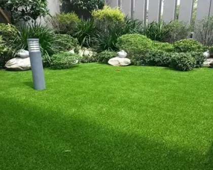 Jenis-Jenis Rumput yang Cocok Menjadi Karpet Hijau di Halaman Rumah