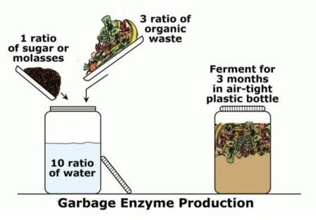 5 Jenis Gula Terbaik untuk Membuat Eco Enzyme dan Cara Penerapannya