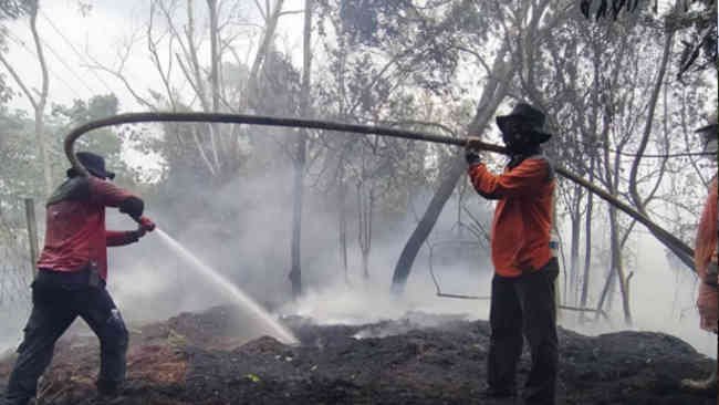 Manggala Agni Tak Hanya Berjuang Atasi Karhutla, Tapi Juga Covid-19
