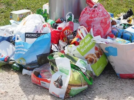 Meresapi Pesan Bijak tentang Sampah yang Penuh Inspirasi