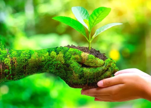 Perihal Green Job dan Istilah-Istilah yang Mengiringinya