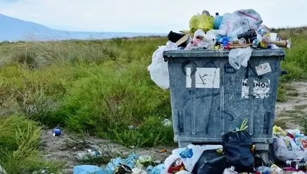 7 Negara dengan Predikat Terbaik  Pendaur Ulang Sampah