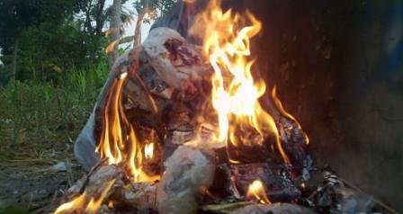 Bakar Sampah, Jalan Pintas yang Berbahaya