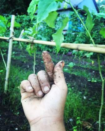 Ayo Terus Menanam di Pekarangan, Ancaman Krisis Pangan di Depan Mata!