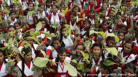 Mengintip Upaya 12 Negara Ini Kembalikan Hijaunya Hutan yang Hilang