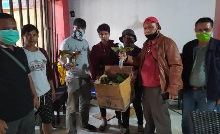 Mengungkap Perdagangan Ilegal Tumbuhan Dilindungi ke Luar Negeri